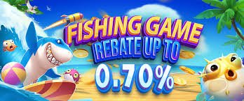333 bit bingo room style and interface reading for adult Bangladesh users